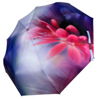 Женский зонтик автомат Rain Flowers с платком цветы (Z01030-4) Женский зонтик автомат Rain Flowers с платком цветы (Z01030-4)