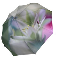 Парасолька жіноча Rain Flowers з хустинкою квіти (Z01030-5) Парасолька жіноча Rain Flowers з хустинкою квіти (Z01030-5)