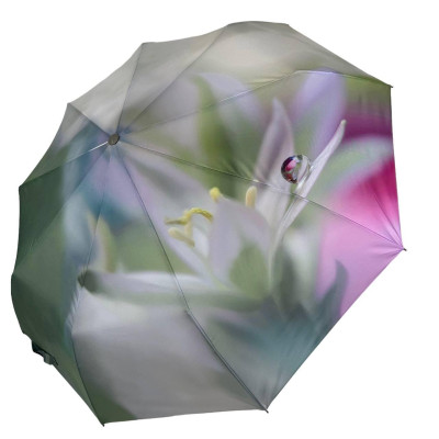 Женский зонтик автомат Rain Flowers с платком цветы (Z01030-5) Женский зонтик автомат Rain Flowers с платком цветы (Z01030-5)