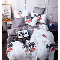 Комплект постельного белья Донна Race 150x220 Flamingo and palm trees (DR-56xa) Комплект постельного белья Донна Race 150x220 Flamingo and palm trees (DR-56xa)