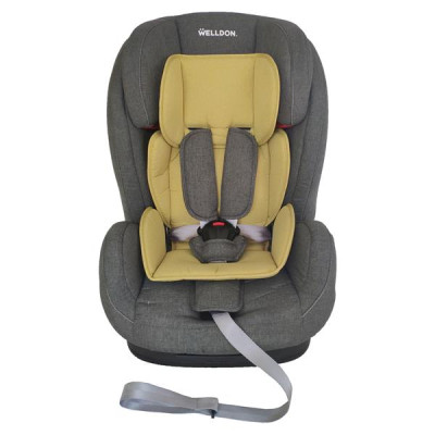 Автокресло Welldon Encore с 9 месяцев серый/оливковый (ABS07-S95-002) Автокресло Welldon Encore с 9 месяцев серый/оливковый (ABS07-S95-002)