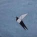Постельный комплект белья Донна Race Swallow евро (DR-14xa)