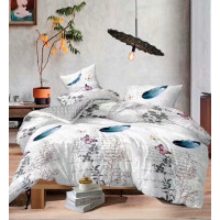 Постельный комплект белья Донна Race Feather and butterfly сатин 180х220 см (DR-48xa)