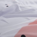 Постельный комплект белья Донна Race Flamingo Love евро (DR-7xa)