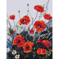 Картина по номерам Art Craft Красочные маки 40*50см (RT13105-AC) Картина по номерам Art Craft Красочные маки 40*50см (RT13105-AC)