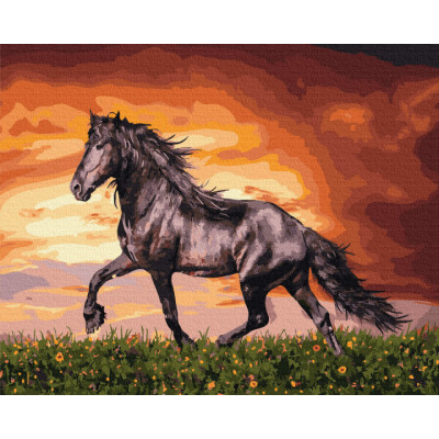 Картина по номерам Rainbow Art Черный конь 40*50см (RTGX34880-RA) Картина по номерам Rainbow Art Черный конь 40*50см (RTGX34880-RA)