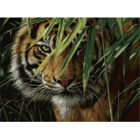Картина по номерам Rainbow Art Тигр 40*50см (RTGX7418-RA)